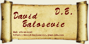 David Balošević vizit kartica